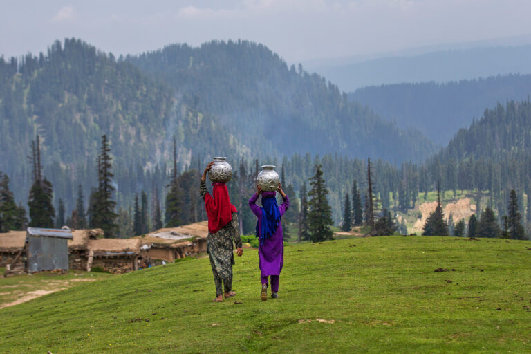 Kashmir’s springs are drying up. Scientists say saving them starts uphill