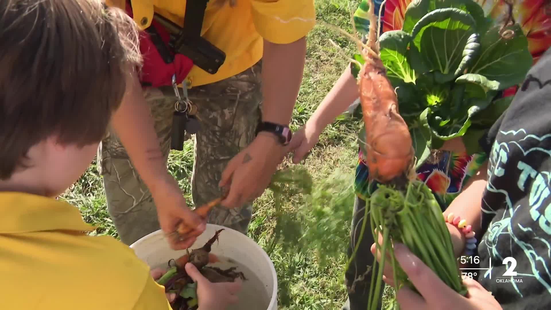 Nature learning lab connects students with growing food