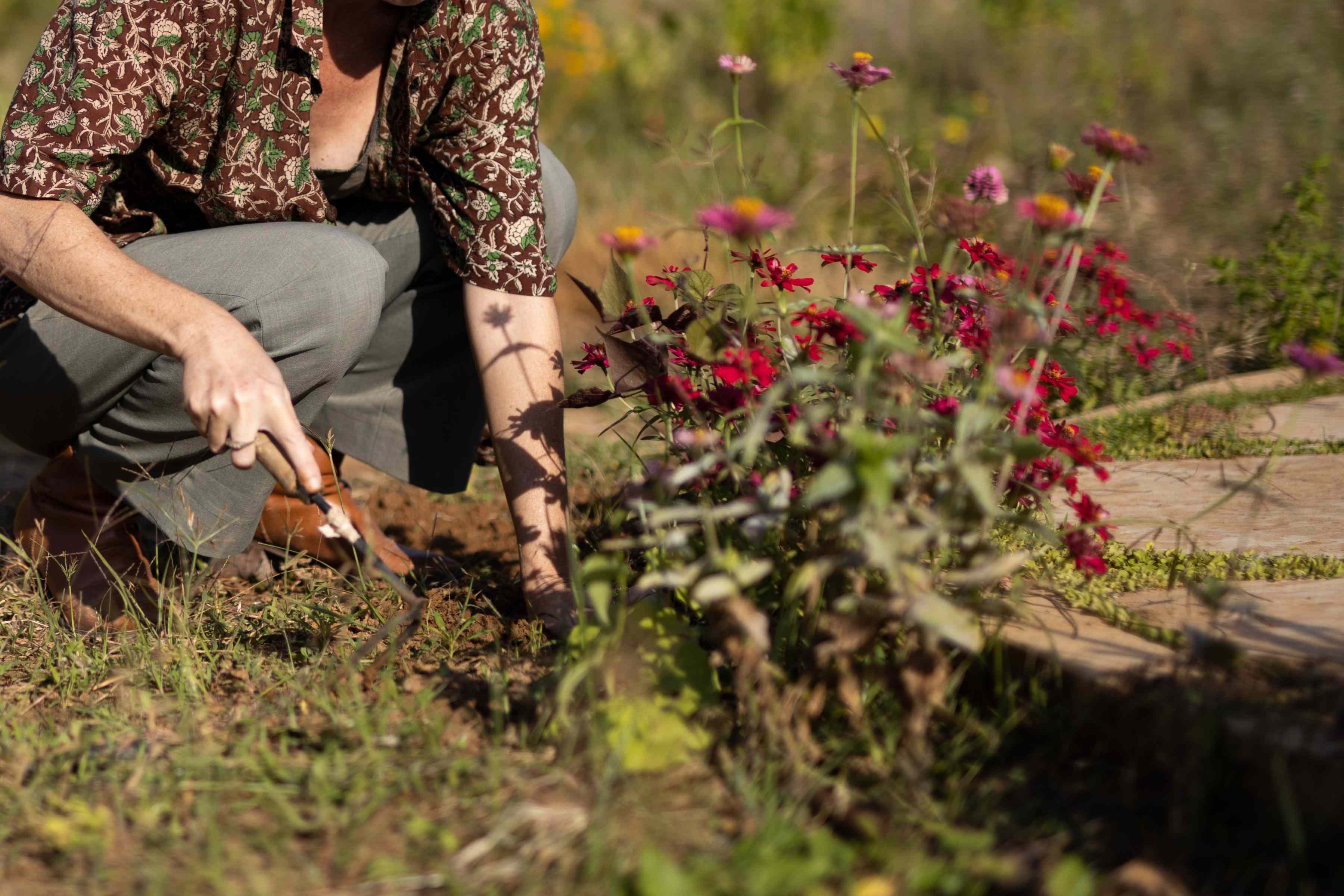 Should you clean out your flower beds in fall or spring? How to time it ...