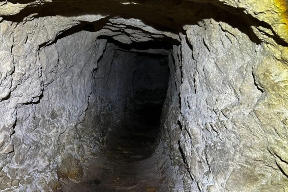 Named after Tolkien’s Balrog, this cave cricket unknown to science ...