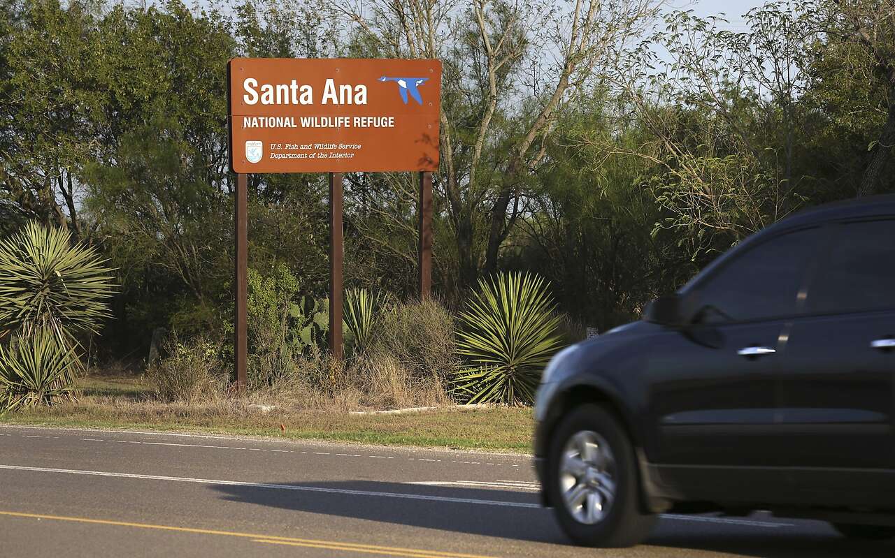 Feds may build border wall through South Texas refuge as original plan ...