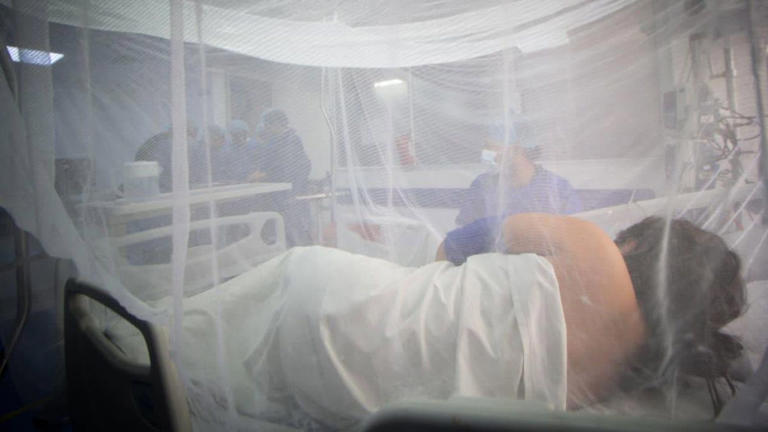 Tolima prende las alarmas por dengue: ya hay más de 3.000 casos en el ...
