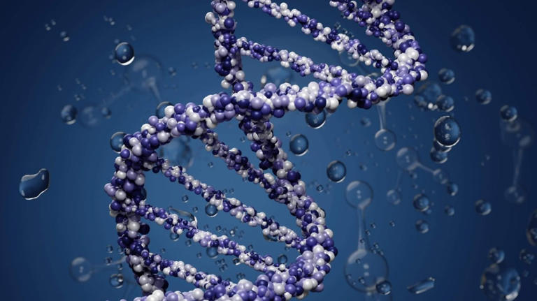 BITS Pilani unveils AI tool for accurate prediction of DNA-binding residues