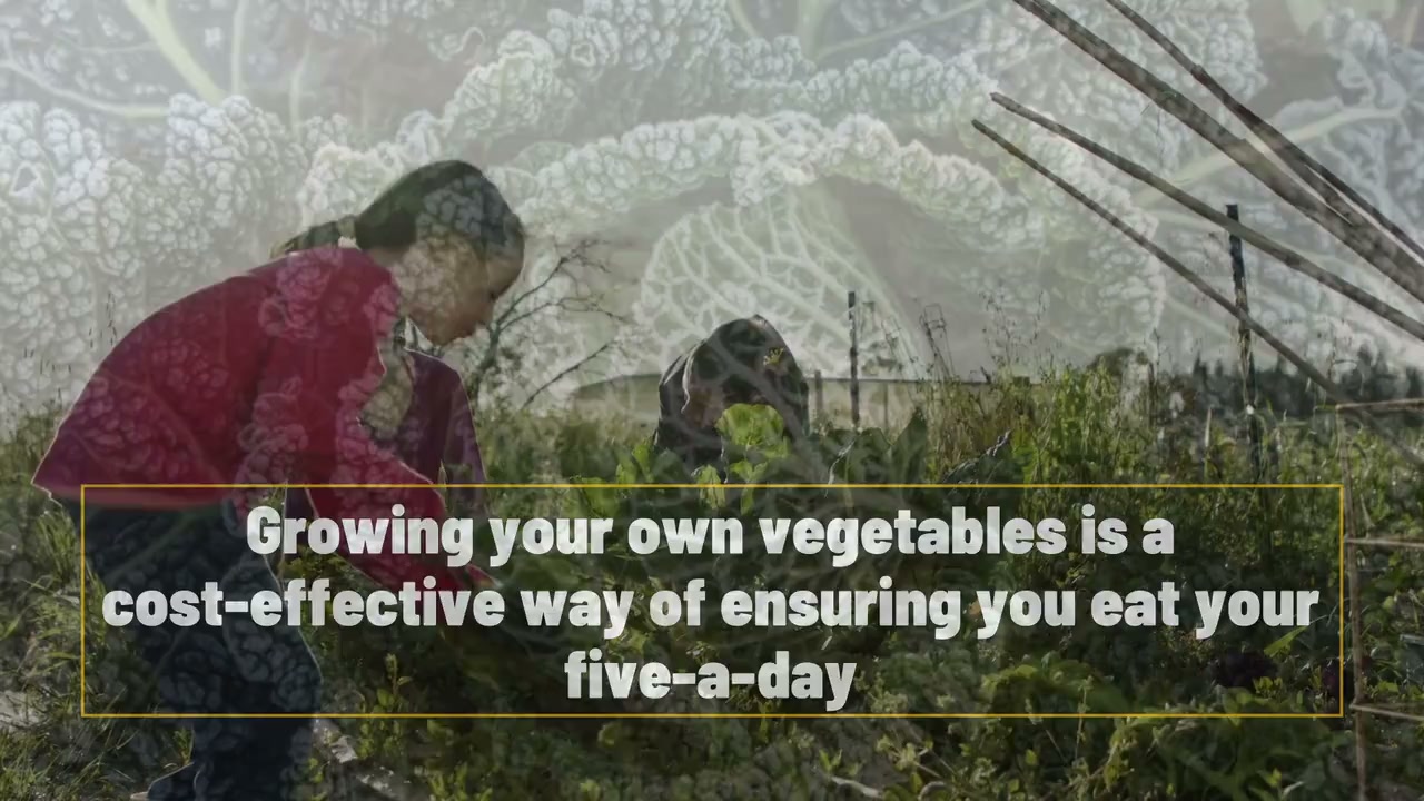 6 vegetables you can plant this winter