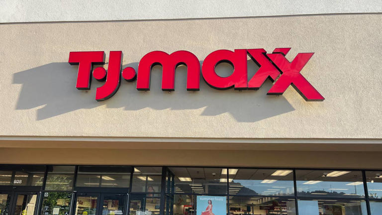 TJ Maxx's $7 pet find could make your feeding corner feel more put together