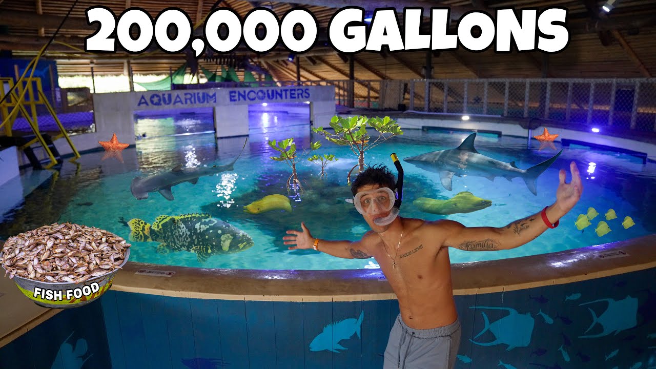 Feeding fish in a $100 million aquarium exhibit!