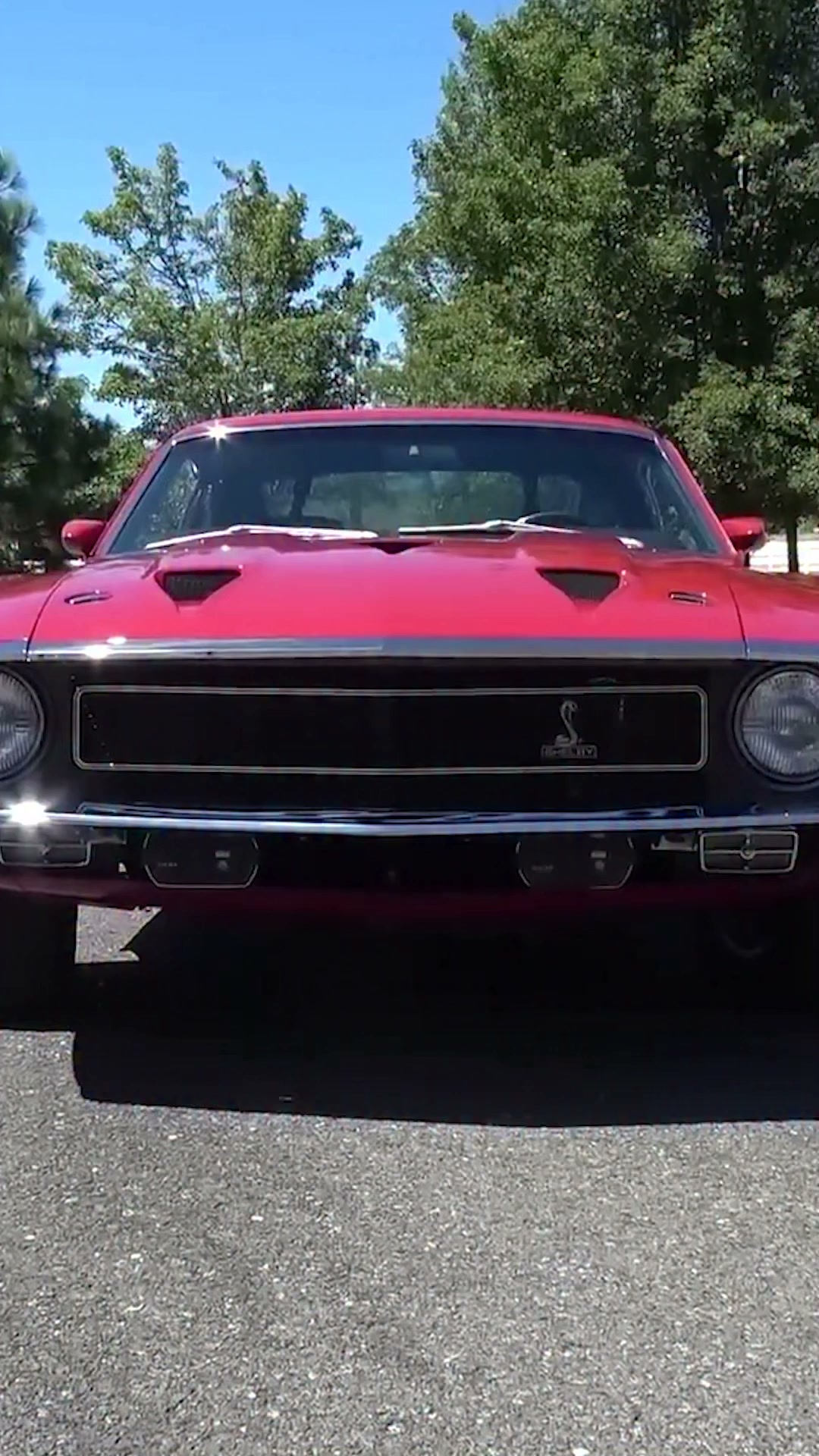 1969 Ford Shelby Mustang GT500