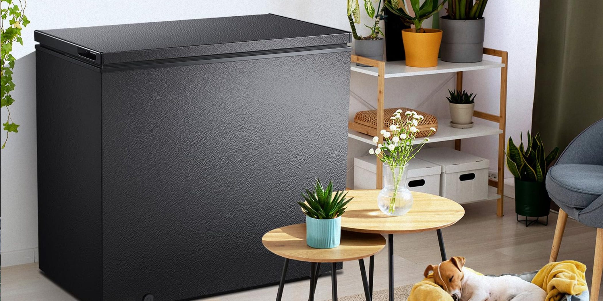 Our favorite chest freezers are garage-ready and offer sizable storage ...