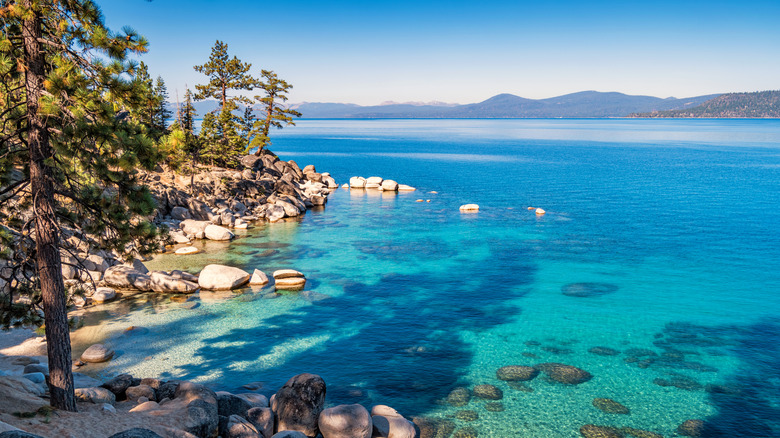 13 best attractions in Northern California, according to visitors