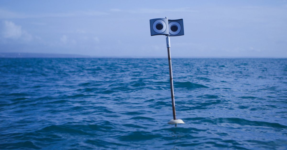 New study: Googly-eyed buoys and kites help keep seabirds out of ...
