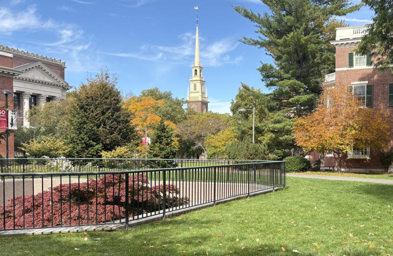 The brutal Harvard class that suddenly everyone wants to take