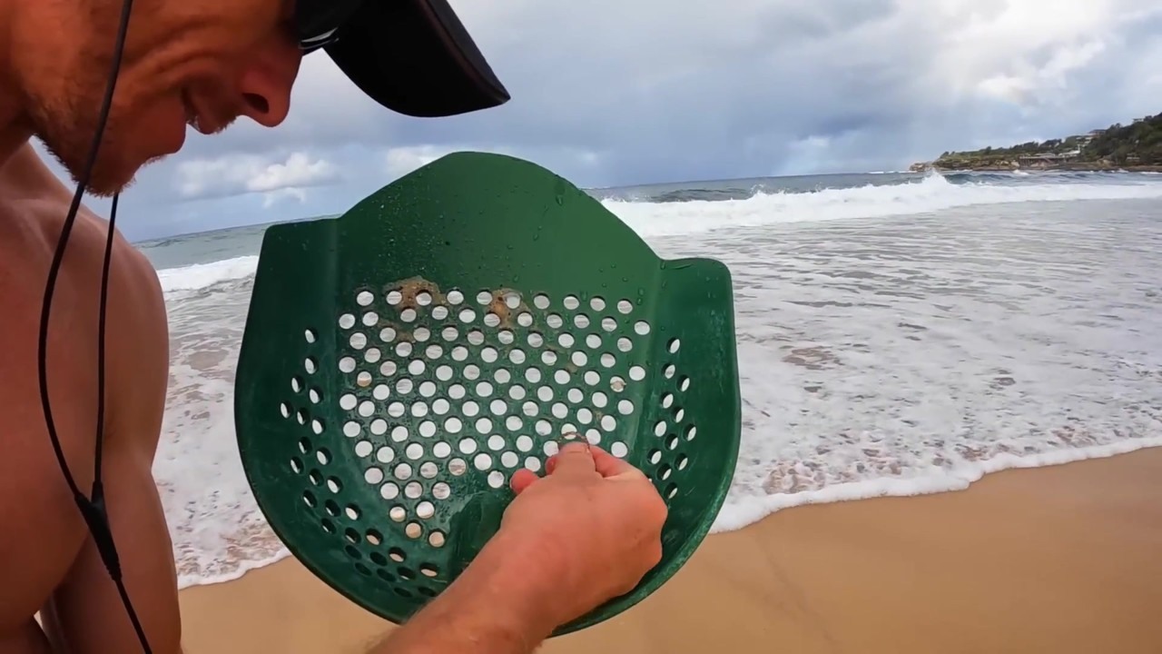 Metal detectorist scans beach sand for George's lost ring
