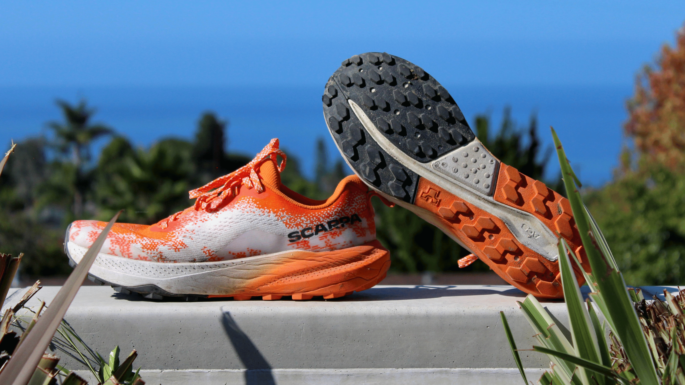 Finally, a trail shoe that’s connected and cushioned. We review the ...