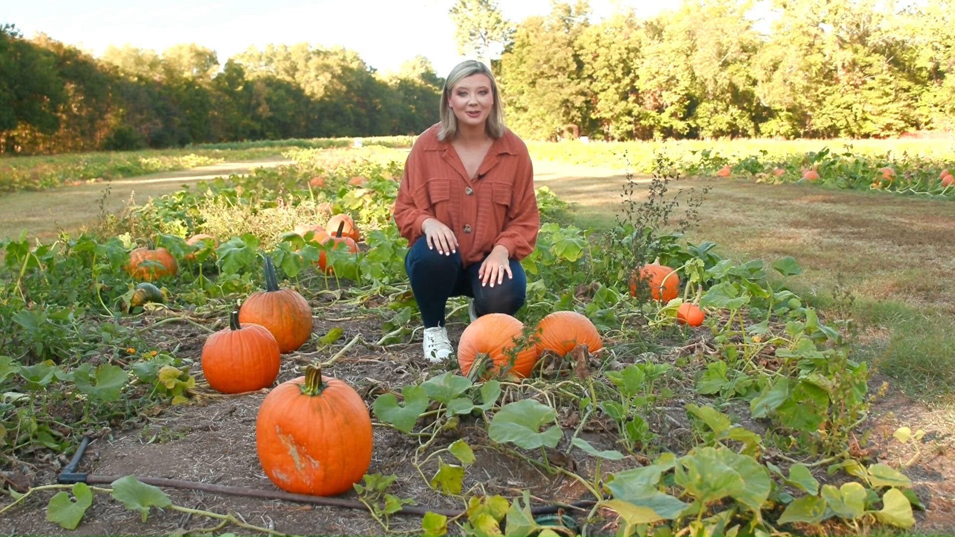 Exploring pumpkin patches and haunted houses in the Natural State