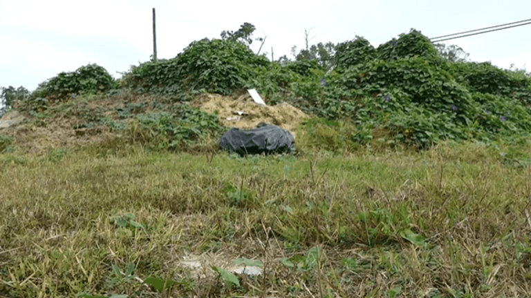 Family says father's grave missing, possibly buried under dirt pile at ...
