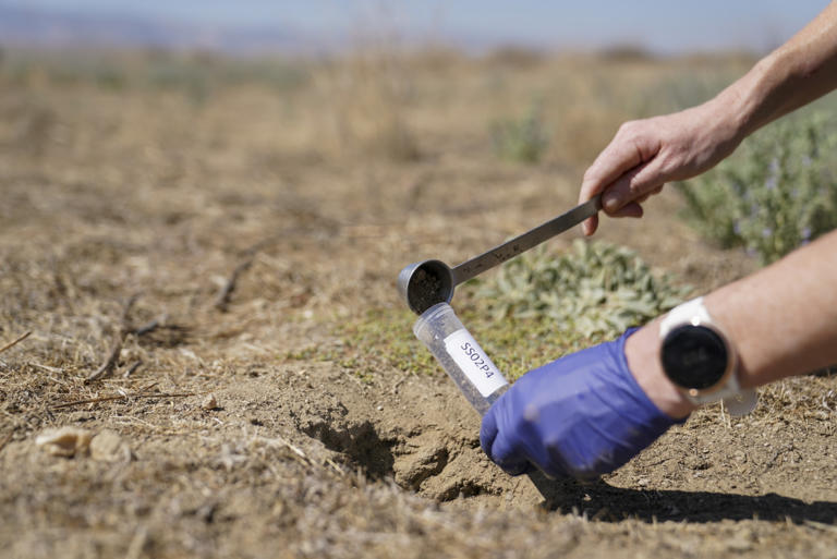 Why dangerous fungi are on the rise