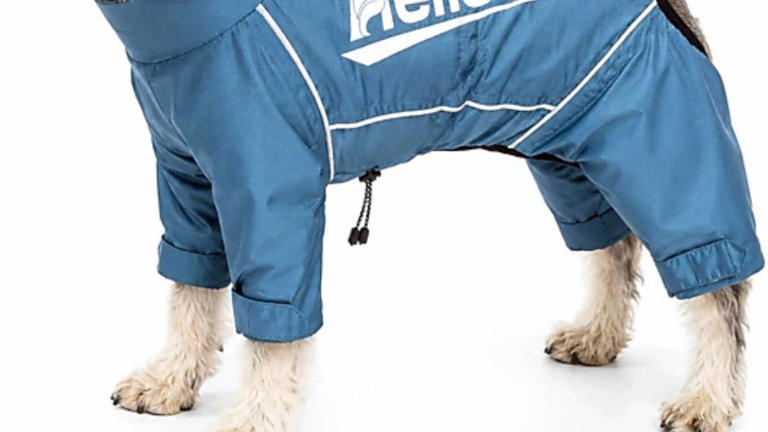 JCPenney's cute dog coats are waterproof, reflective, warm, and ready ...