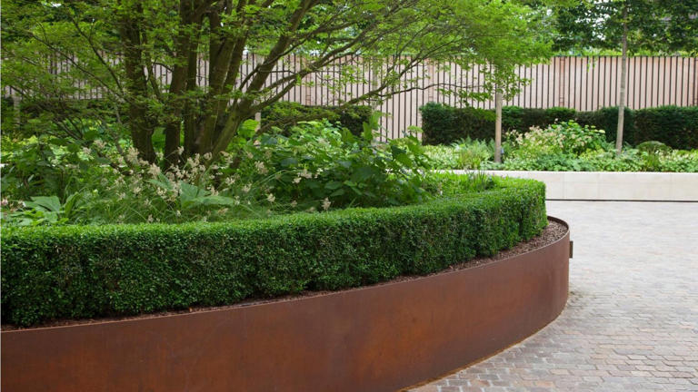 5 evergreens that need winter protection after you plant them