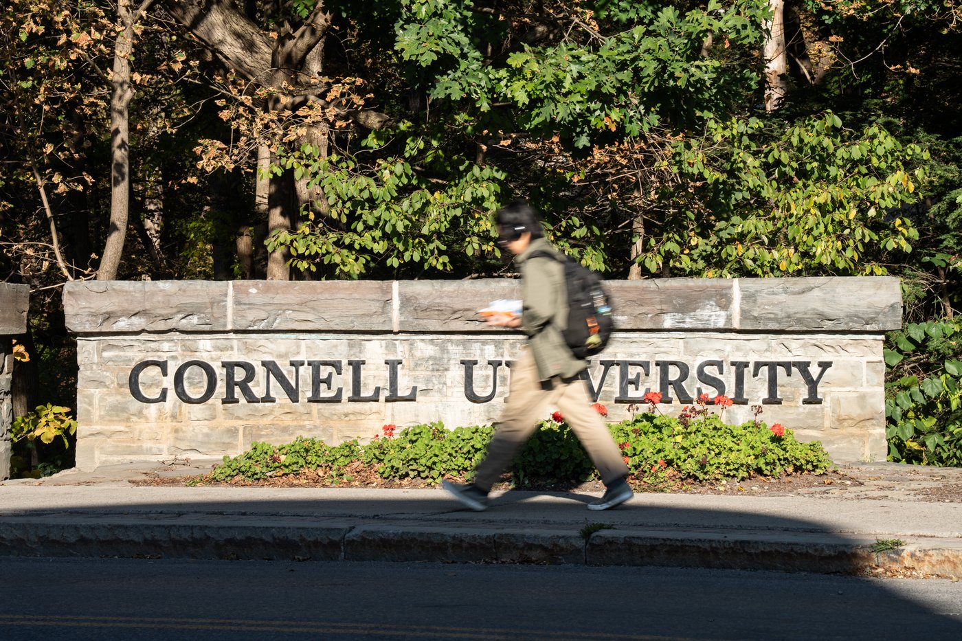 Cornell faculty to move forward with no-confidence vote over handling ...