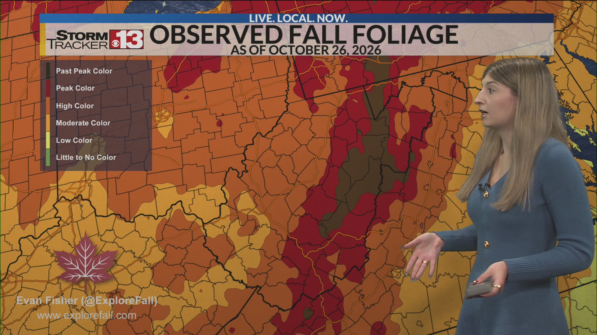 Perfect week to view fall color