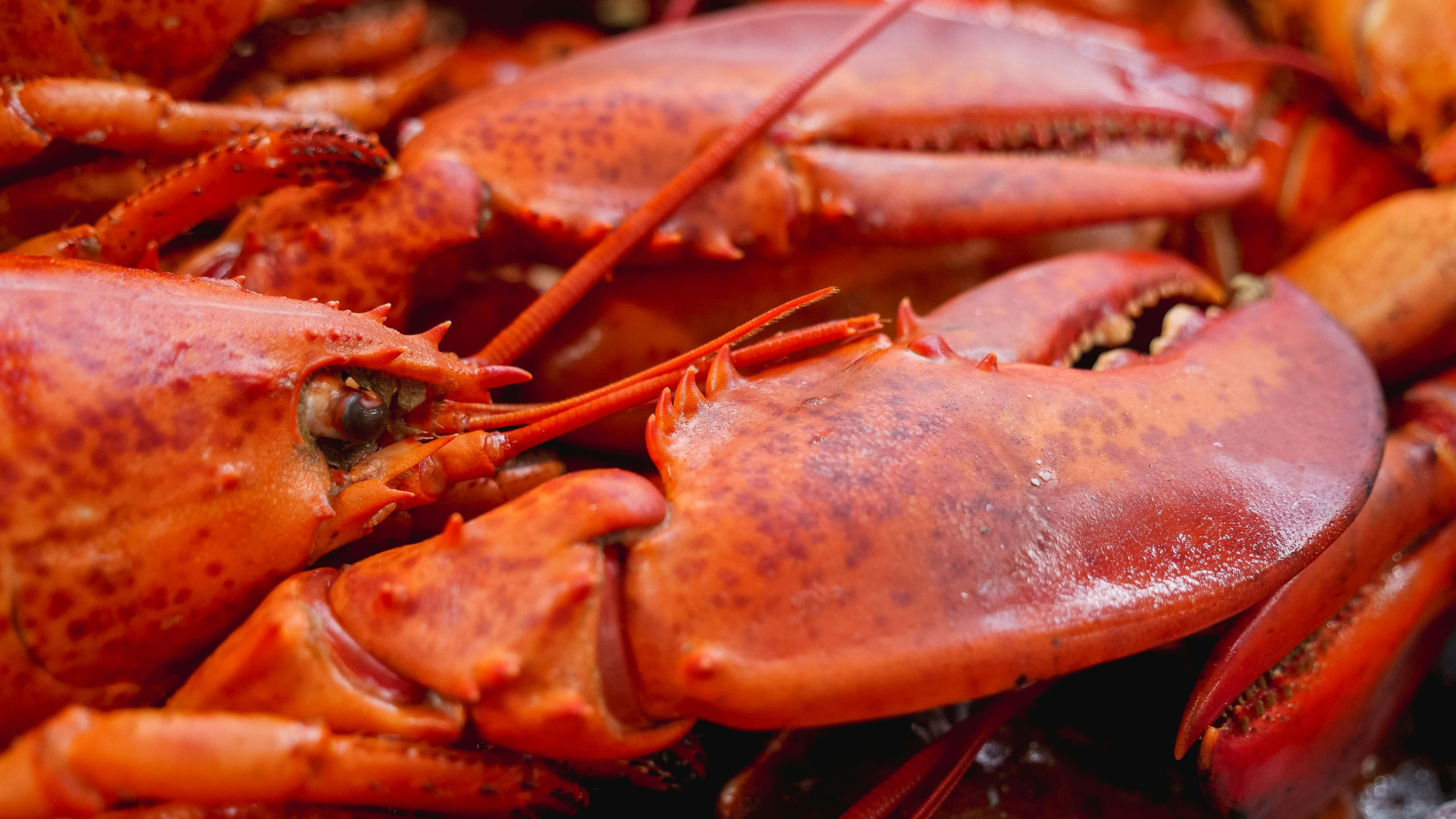 20 overrated foods people pretend to like
