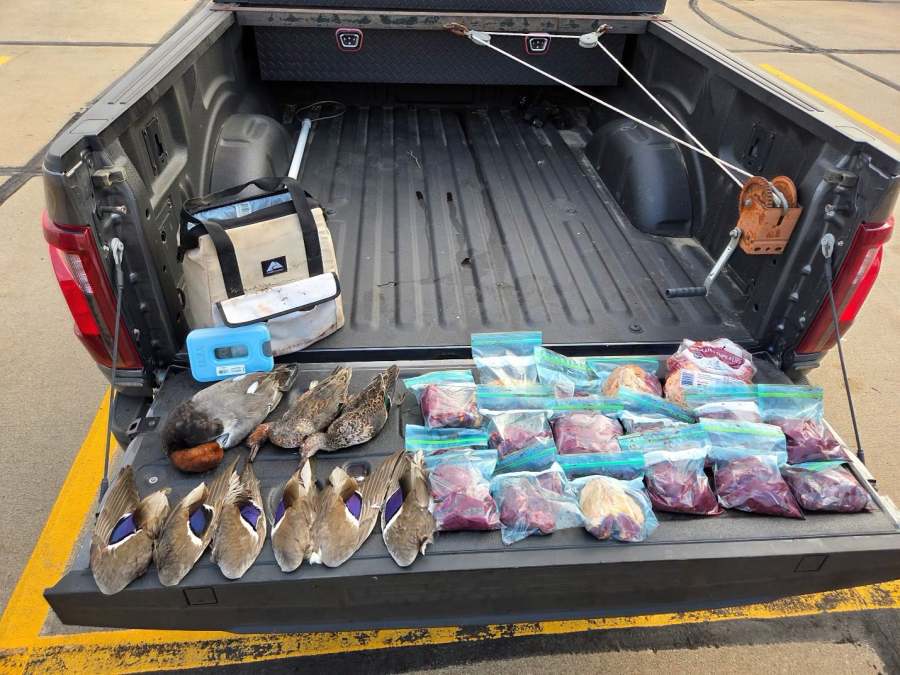 Driver cited for possessing 52 ducks over limit