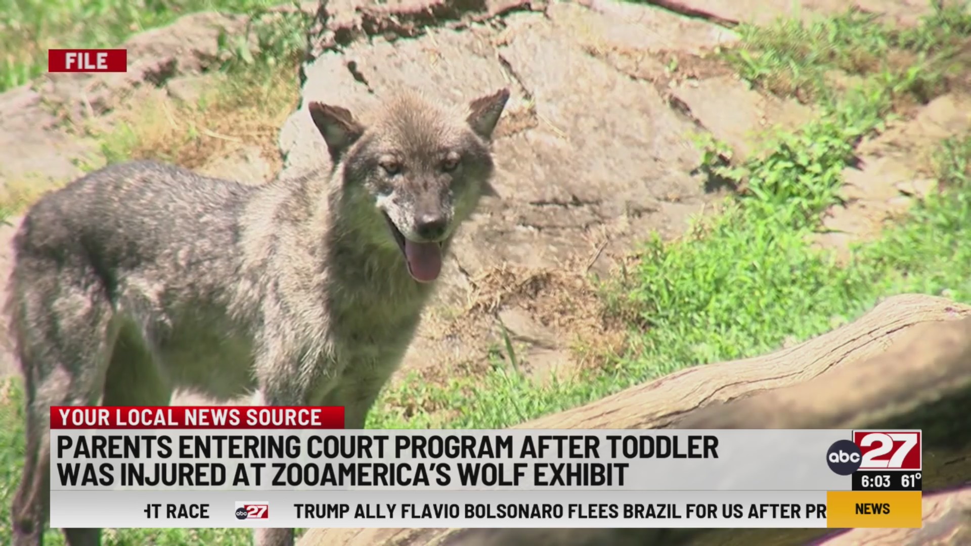 Parents entering court program after toddler gets injured at ZooAmerica ...