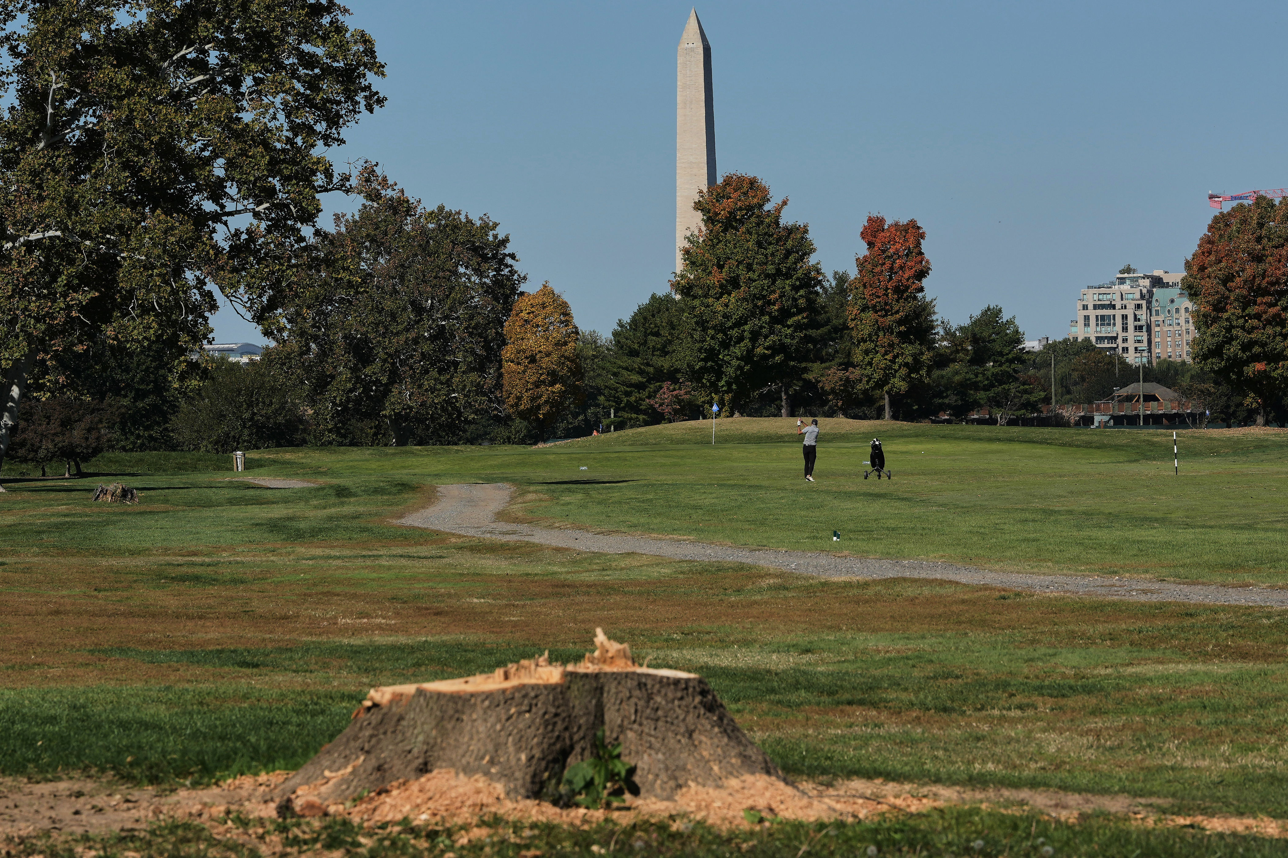Trump administration appeals order blocking tree removal at DC golf course