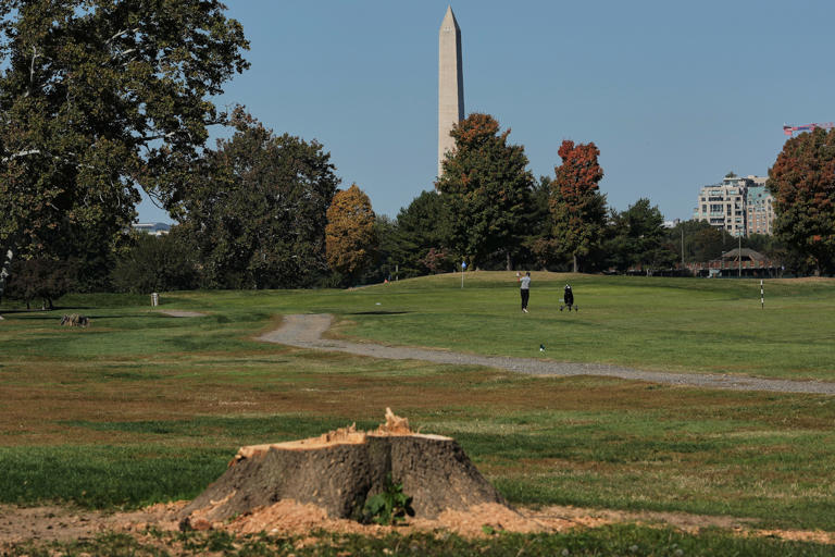La administración Trump apela la orden que bloquea la tala de árboles en un campo de golf de Washington D.C.