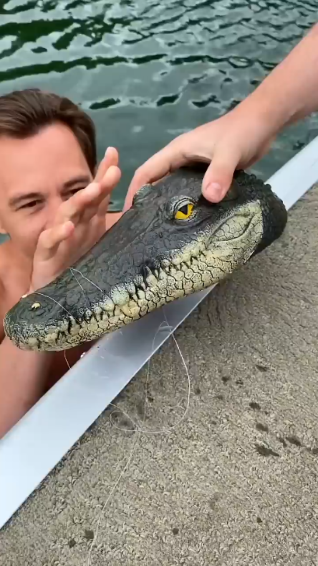 This crocodile prank gets an unexpected reaction!