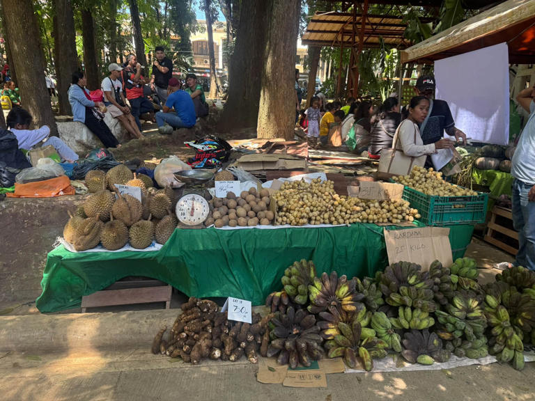 Bukidnon showcases resilient harvests amid El Niño