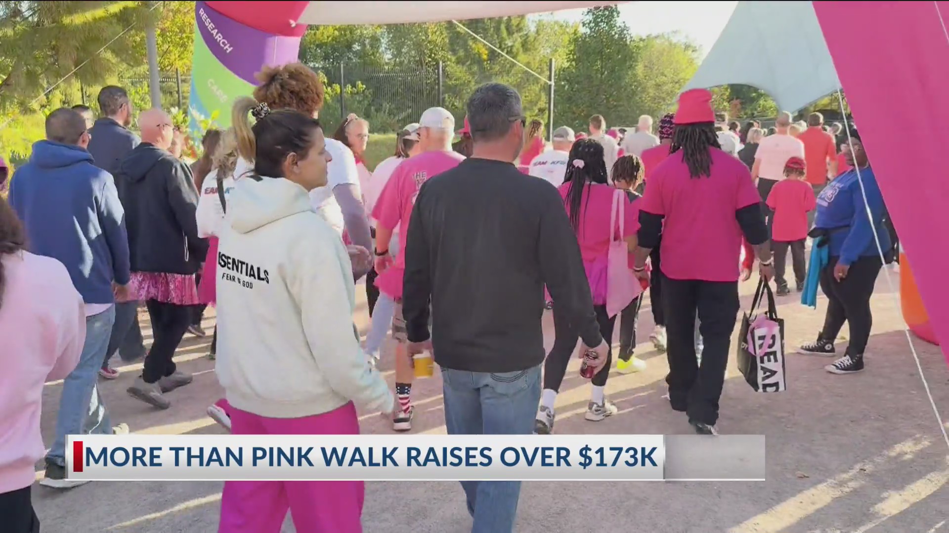 More than Pink Walk raises over $173k