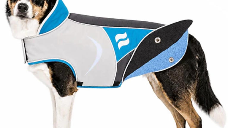 JCPenney's cute dog coats are waterproof, reflective, warm, and ready ...