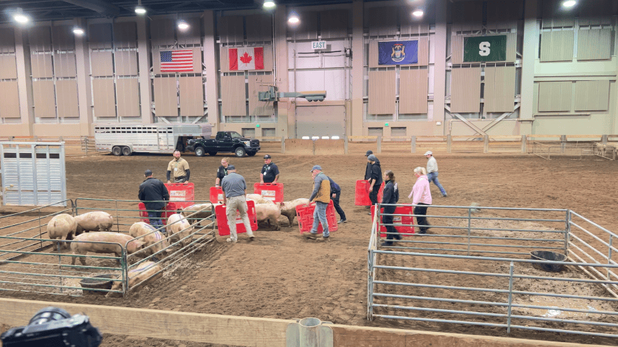 MSU training prepares first responders for livestock emergencies