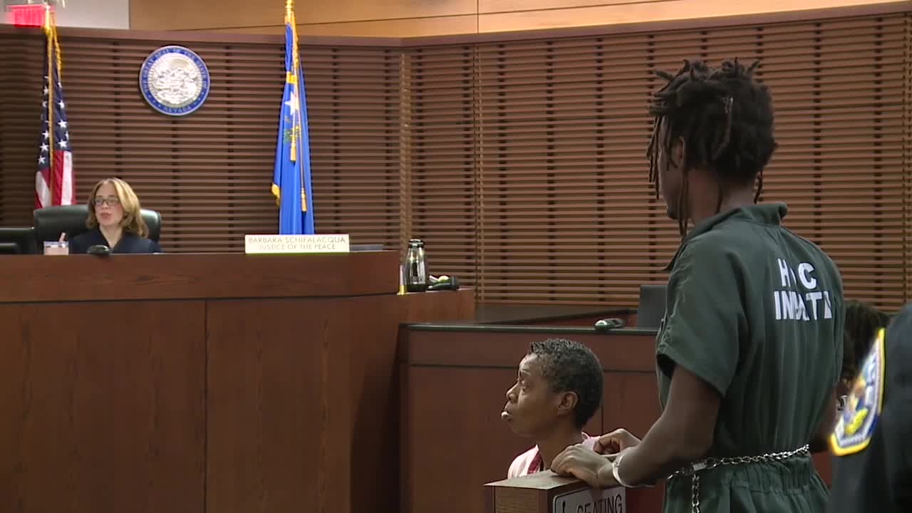 Arrest report reveals what happened before Henderson man allegedly ...