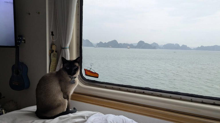 Captain the cat cruising in Ha Long Bay, Vietnam. - Courtesy Holly Hennessy