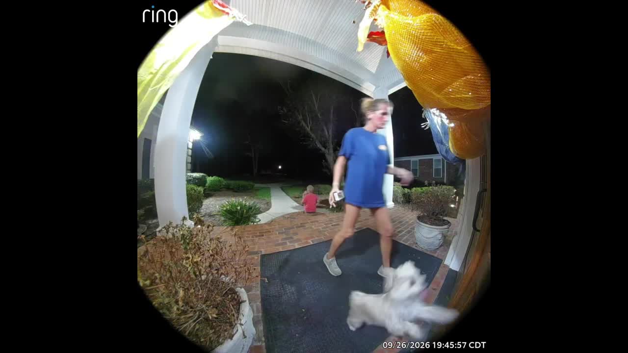 Bird flies out of a pumpkin wreath and hits a woman in Mobile, Alabama, USA