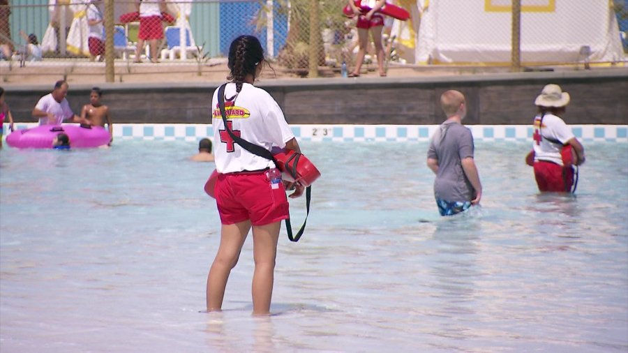 Cowabunga Bay finds watery work for 70% staff as pool plug pulled
