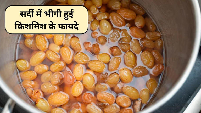 Black raisins vs golden raisins: काली या पीली कौन सी किशमिश है ज्यादा ...