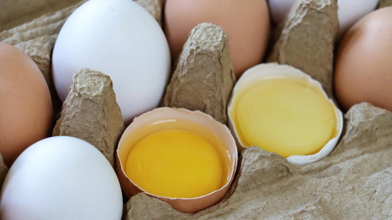 Why egg yolks vary from pale yellow to deep orange