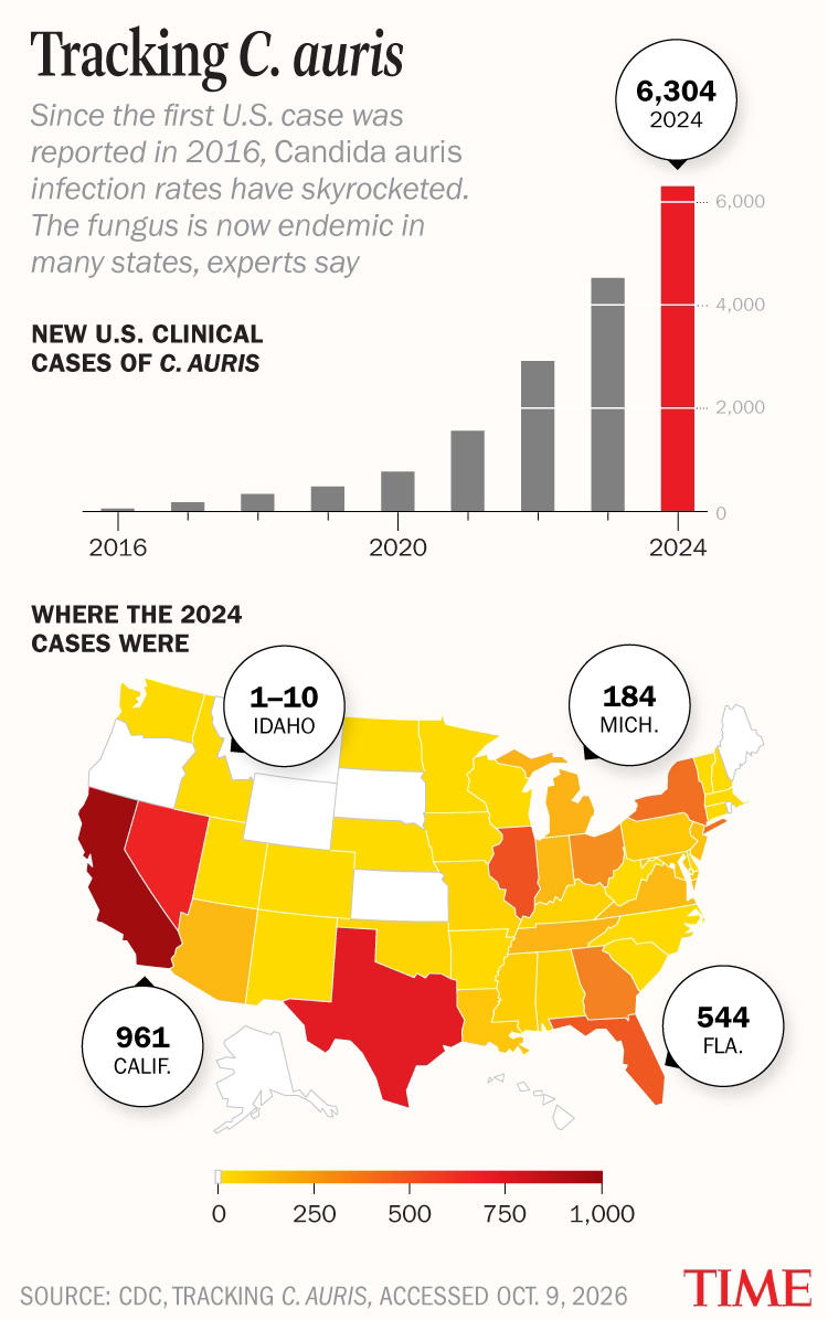 Why dangerous fungi are on the rise