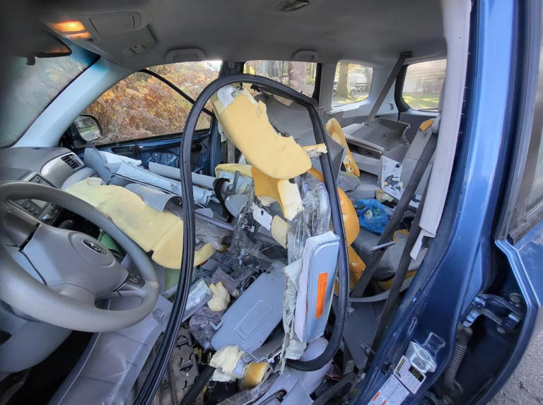 Black bear shreds car to pieces after getting locked inside: 'Fighting ...