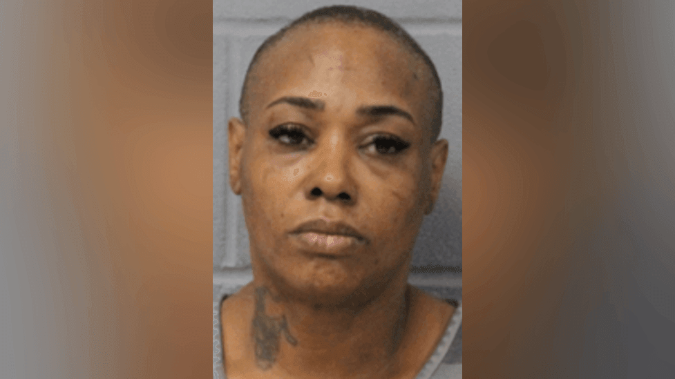 Woman arrested in string of high-value retail thefts across Austin