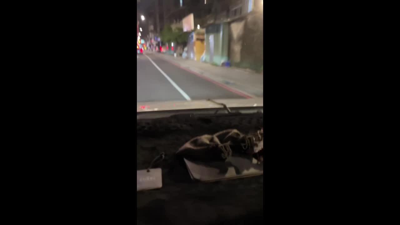 Driver and passenger stunned to see snake slithering across car bonnet