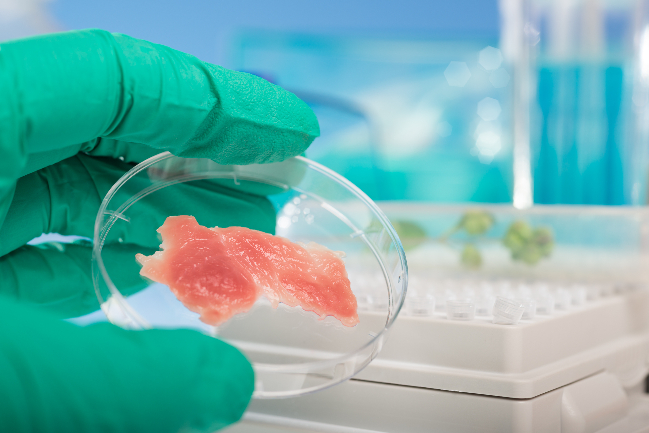 Environmental nutrition: What to know about lab-grown meat