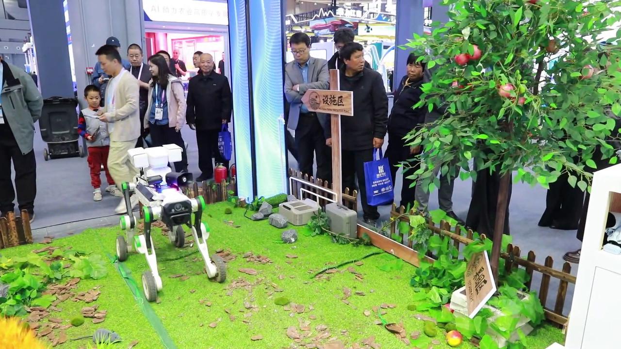 China: AI fruit-picking robot and farm dog debut in Xi'an - 74529047
