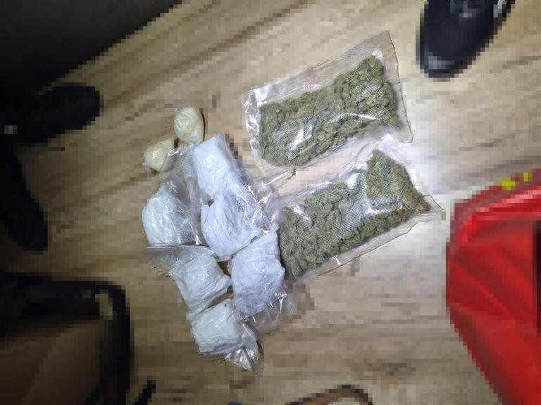 Blisko 4 kg narkotyków na działce ROD w Toruniu. 27-latek w areszcie ...
