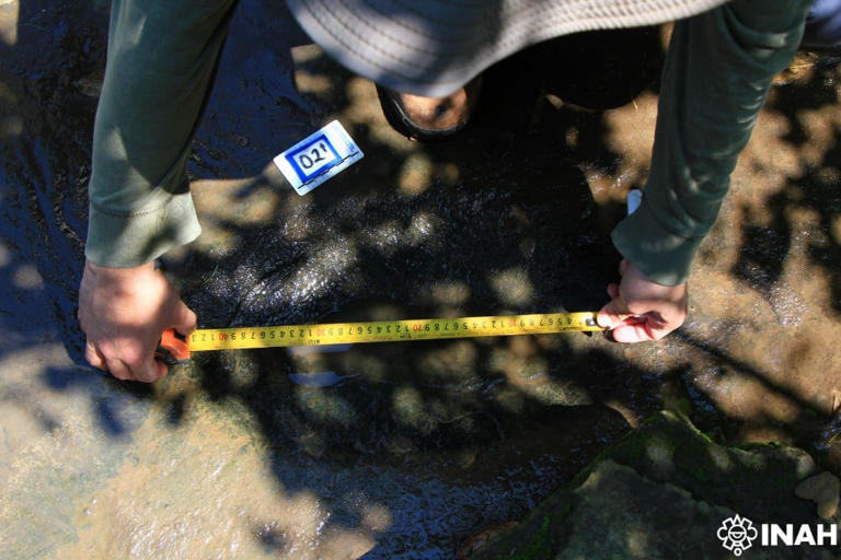 Villagers spotted strange marks by a Mexican stream. They turned out to ...