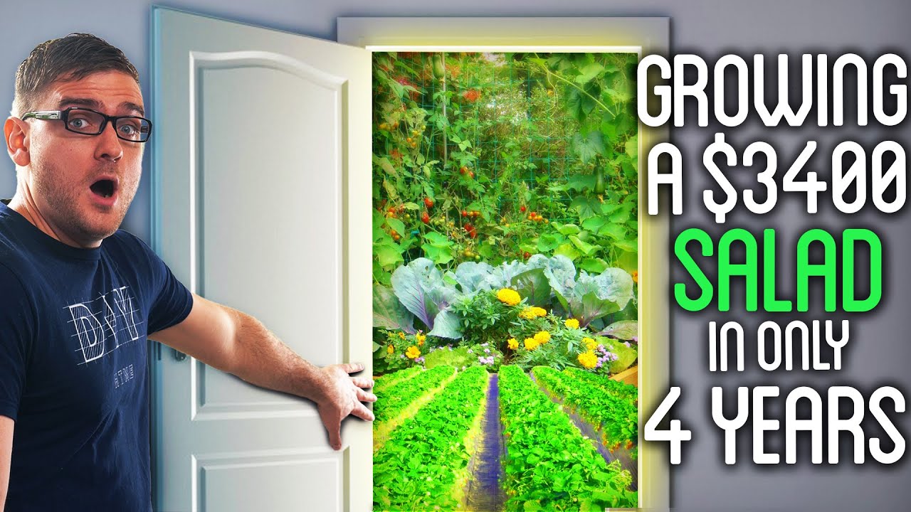Four years of trial and error built a working salad wall that still ...
