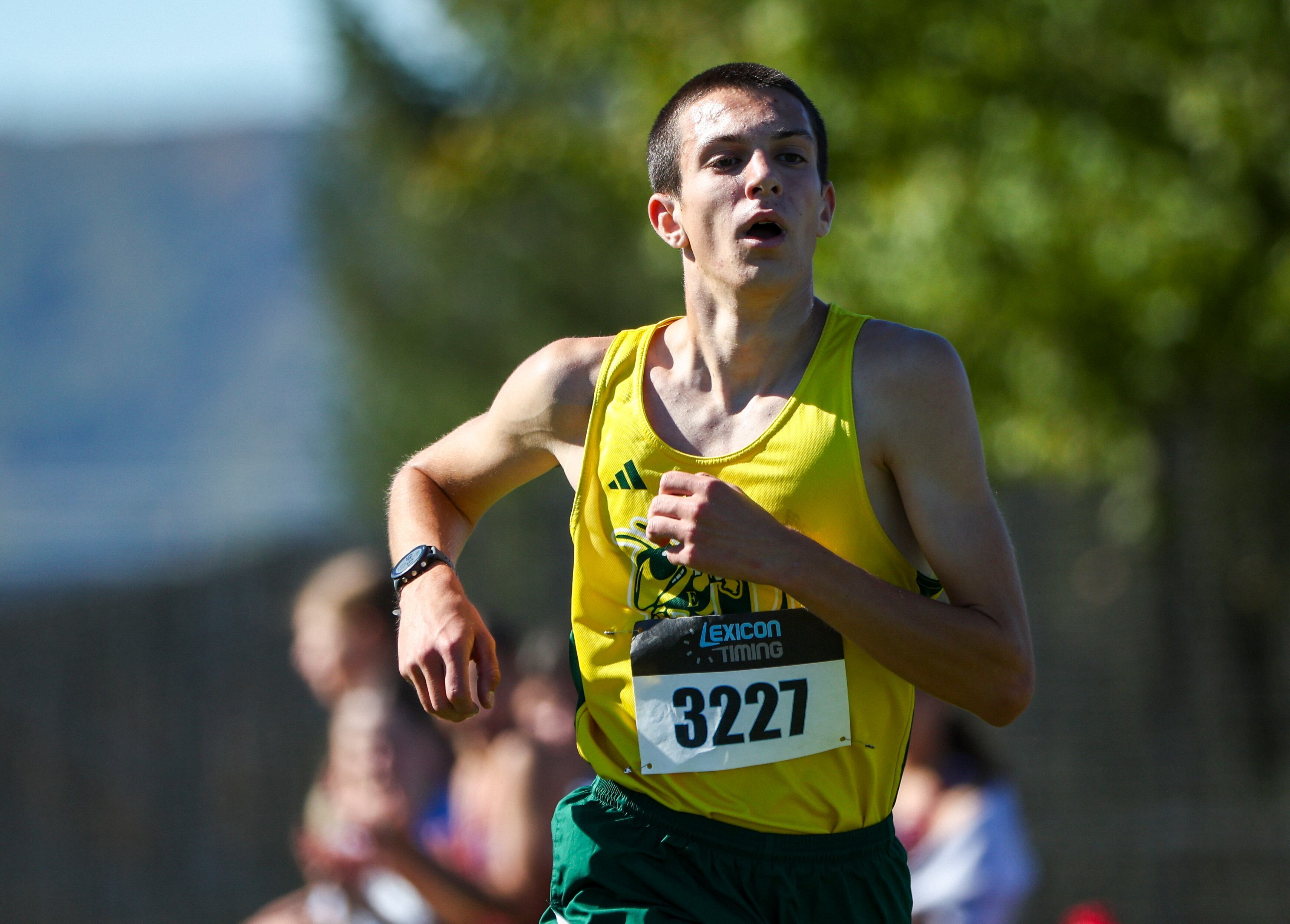 Boys cross country runners of the week for Oct. 27: It's a championship thing